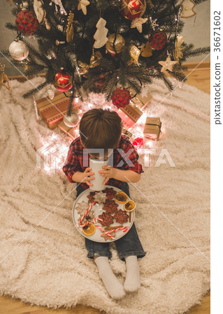 Boy laying under christmas tree with chocolate Boy laying under christmas tree with chocolate 36671602