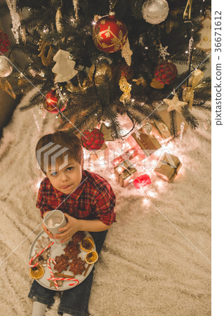 Boy laying under christmas tree with chocolate 36671612