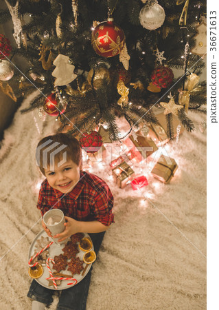 Boy laying under christmas tree with chocolate 36671613