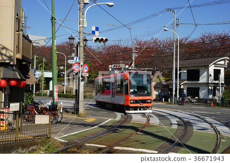 11月Toden Arakawa Line 10 Asukayama Station曲線 11月Toden Arakawa Line 10 Asukayama Station曲線 36671943