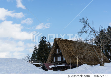 Gokayama在冬天 Gokayama在冬天 36672488