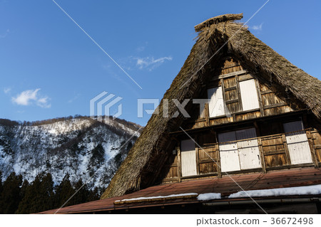 Gokayama in winter Gokayama in winter 36672498