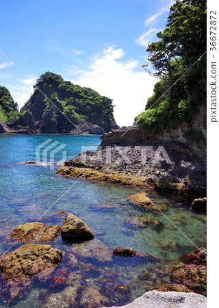 Ukishima coast of Izu Peninsula 36672872