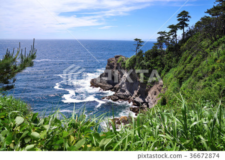 伊豆半島的Ukishima海岸 36672874