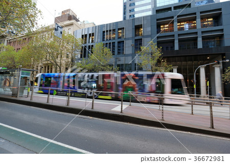 Tram 36672981