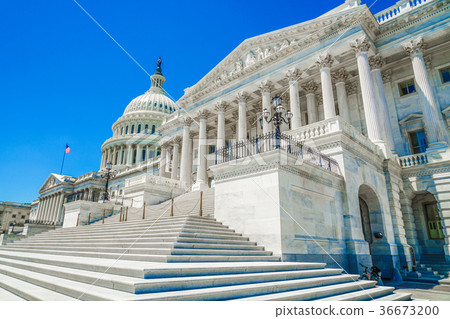 United States Capitol (United States Capitol) 36673200