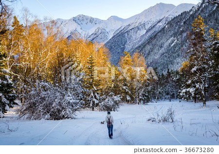 Girl walking on path in snowy winter mountains 36673280