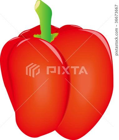 辣椒粉（紅色） 36673667