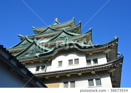The castle tower of Nagoya castle (Nagoya city, Aichi prefecture) 36673934