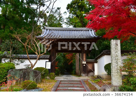 Kyoto, Shodenji 36674154