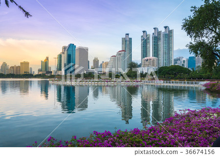 Magenta papers flowers and lake in public park 36674156