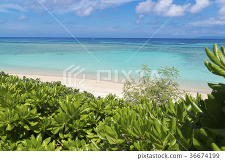 西濱（Hatterma Island） 36674199