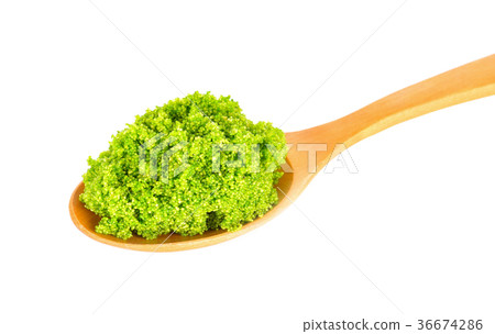 Swamp algae on a white background 36674286