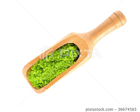 Swamp algae on a white background Swamp algae on a white background 36674565