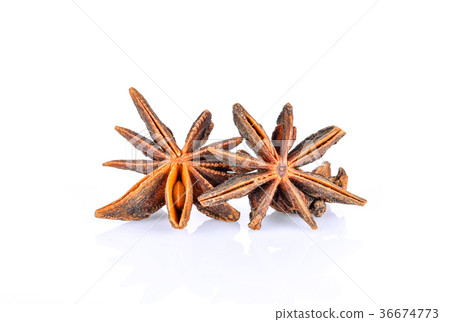 Illicium verum on white background 36674773