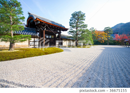Tenryu-ji garden in Arashiyama Tenryu-ji garden in Arashiyama 36675155