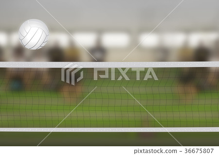 Volleyball court 36675807