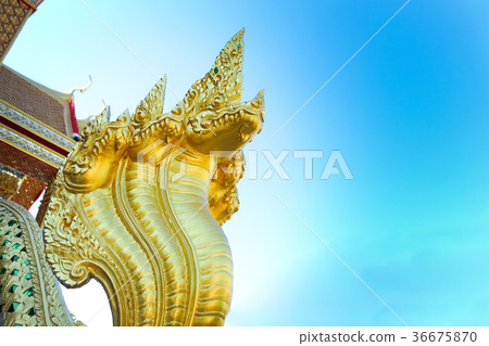 Gold Naga Statue 36675870