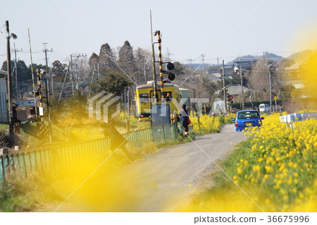 Spring Isometric Railways People who take pictures Spring Isometric Railways People who take pictures 36675996