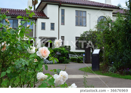 Hill Park where Yokohama · Harbor can be seen 36676969