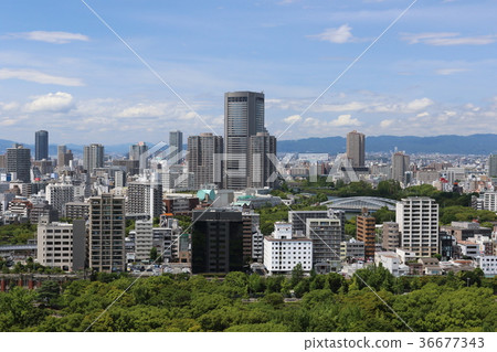 Osaka 36677343