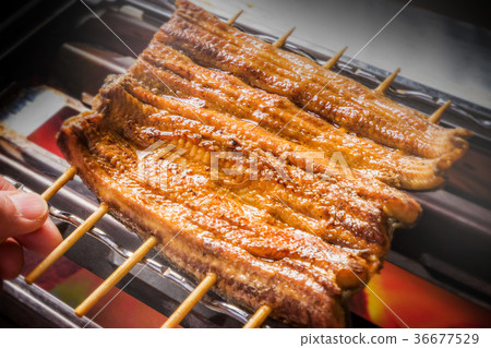 高品質的日本烤高品質日本烤鰻魚 36677529