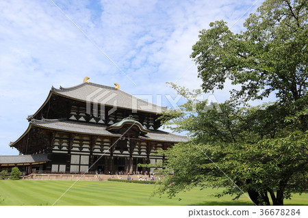 東大寺 36678284