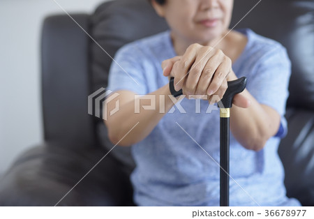 Old woman hands on walking stick with Healthcare 36678977