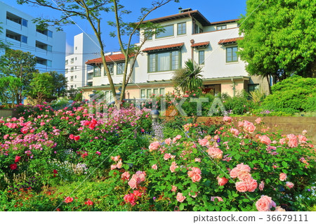 一個小山公園，可以看到盛開的港口 36679111