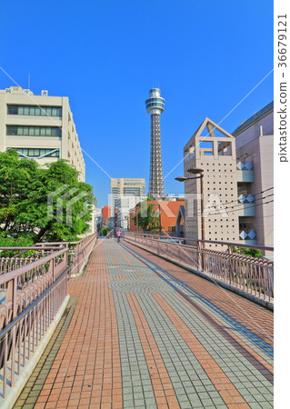 Yokohama Marine Tower 36679121