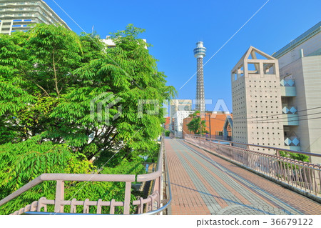 橫濱海洋塔 橫濱海洋塔 36679122