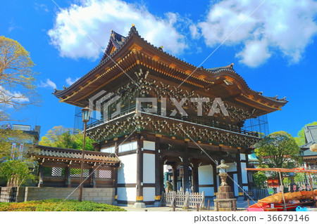 Naritasan Shinshoji Temple Naritasan Shinshoji Temple 36679146