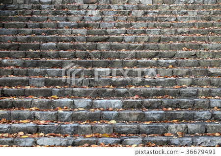 Old stone steps 36679491