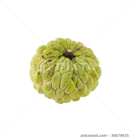 Custard apple isolated on white Clipping Path 36679635