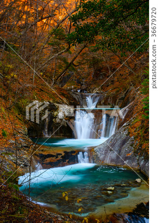 Autumn seven Tsukuda Five Stage Falls Autumn seven Tsukuda Five Stage Falls 36679720
