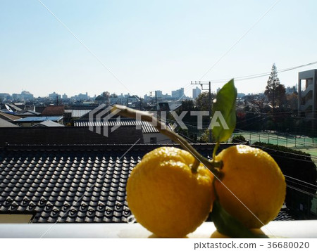 Roof and blue sky of Yuzu and Asagaya Roof and blue sky of Yuzu and Asagaya 36680020