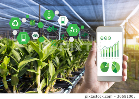 agriculture technology concept man Agronomist  36681003