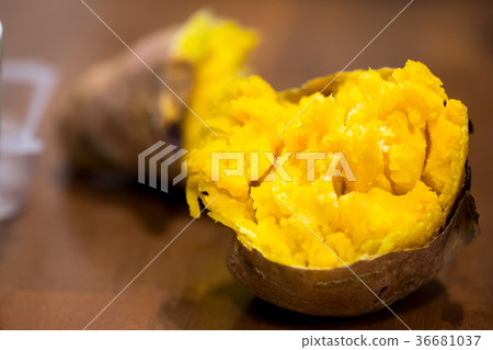 Anno potato sweet potato 36681037