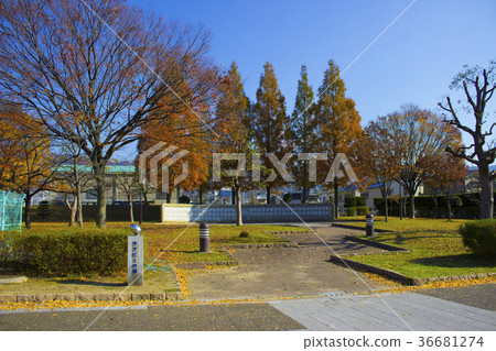 花園中央公園 橄欖球森林 大阪府東大阪市 照片素材 圖片 圖庫