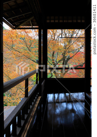 Rurikoin Temple Autumn leaves Rurikoin Temple Autumn leaves 36681411