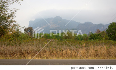 Mountain in the woods background texture 36681619