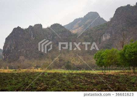 Mountain in the woods background texture Mountain in the woods background texture 36681623