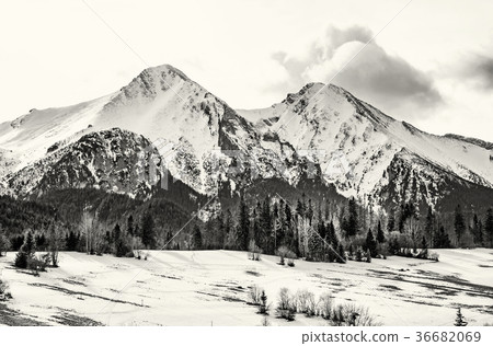 Belianske Tatry mountains in winter, Slovakia 36682069