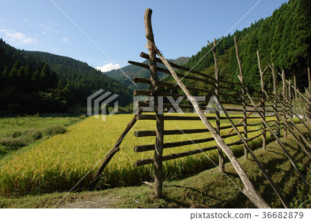 Itaihara Village 36682879