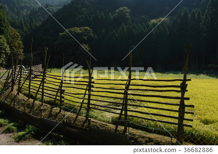 Itaihara Village 36682886