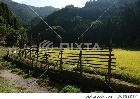 Itaihara村 36682887