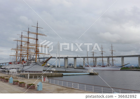 Kaiohmaru和Nipponmaru，Shinsho Ohashi 36682892