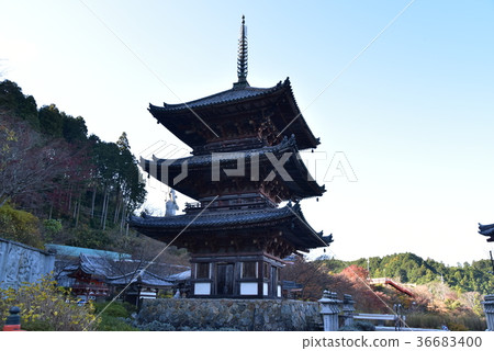[三國觀音朝聖]奈良縣高一郡高坂町三坪塔和晴朗的冬季天空 36683400