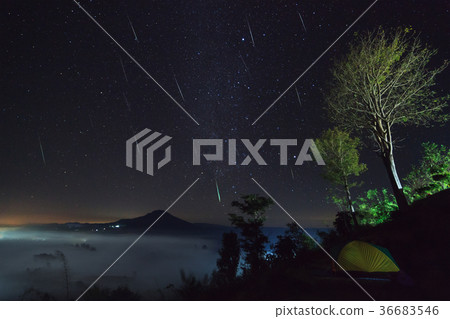 Geminid Meteor in the night sky and fog Geminid Meteor in the night sky and fog 36683546