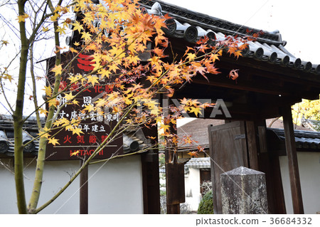 Autumnal leaves and gates 36684332